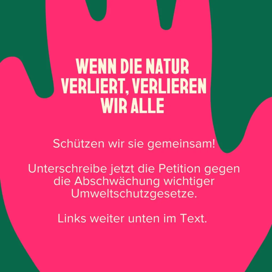 Wenn die Natur verliert, verlieren wir alle. Schützen wir sie gemeinsam! Unterschreibe jetzt die Petition gegen die Abschwächung wichtiger Umweltschutzgesetze. Links weiter unten im Text.